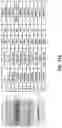 Fig. 45 - FLEXIBLE AND STRETCHABLE ELECTRONIC SYSTEMS FOR EPIDERMAL ELECTRONICS