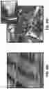 Fig. 61 - FLEXIBLE AND STRETCHABLE ELECTRONIC SYSTEMS FOR EPIDERMAL ELECTRONICS
