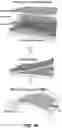 Fig. 66 - FLEXIBLE AND STRETCHABLE ELECTRONIC SYSTEMS FOR EPIDERMAL ELECTRONICS