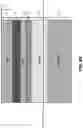 Fig. 71 - FLEXIBLE AND STRETCHABLE ELECTRONIC SYSTEMS FOR EPIDERMAL ELECTRONICS