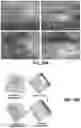 Fig. 72 - FLEXIBLE AND STRETCHABLE ELECTRONIC SYSTEMS FOR EPIDERMAL ELECTRONICS