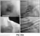 Fig. 80 - FLEXIBLE AND STRETCHABLE ELECTRONIC SYSTEMS FOR EPIDERMAL ELECTRONICS