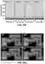 Fig. 84 - FLEXIBLE AND STRETCHABLE ELECTRONIC SYSTEMS FOR EPIDERMAL ELECTRONICS