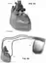 Fig. 88 - FLEXIBLE AND STRETCHABLE ELECTRONIC SYSTEMS FOR EPIDERMAL ELECTRONICS