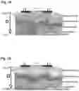 Fig. 02 - Apparatus for electrodermal activity measurement with current compensation
