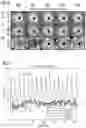 Fig. 07 - METHOD AND APPARATUS FOR CONTROLLING THE GENERATION OF A MAGNETIC RESONANCE IMAGING SEQUENCE