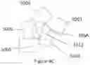 Fig. 17 - X-ray reduction system