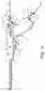Fig. 12 - Automated, selectable, soft tissue excision biopsy devices and methods