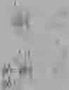 Fig. 40 - INFLATABLE PNEUMOPERITONEUM DEVICE