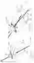 Fig. 41 - INFLATABLE PNEUMOPERITONEUM DEVICE