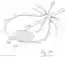 Fig. 58 - INFLATABLE PNEUMOPERITONEUM DEVICE