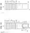 Fig. 03 - Suture anchors having location placement identification features