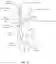 Fig. 04 - SNARING SYSTEMS AND METHODS