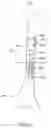 Fig. 06 - External adjustment device for distraction device