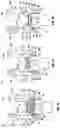 Fig. 08 - Orthopedic fixation devices and methods of installation thereof