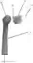 Fig. 01 - Replacement head assembly for toothbrushing systems