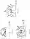 Fig. 08 - Measuring instrument for orthodontic appliances