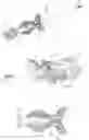 Fig. 06 - Fixation member with separate eyelet and methods of use thereof