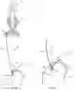 Fig. 18 - Fixation member with separate eyelet and methods of use thereof