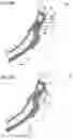Fig. 09 - ABSORBENT ARTICLE