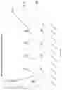 Fig. 06 - Fluid Management Layer For An Absorbent Article