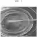 Fig. 02 - SOLID COSMETIC COMPOSITION FOR EYE MAKE-UP INCLUDING FIBER