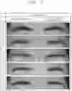 Fig. 06 - SOLID COSMETIC COMPOSITION FOR EYE MAKE-UP INCLUDING FIBER
