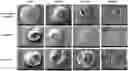 Fig. 01 - Encapsulation