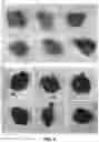 Fig. 20 - Removal of biological deposits