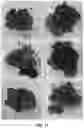 Fig. 23 - Removal of biological deposits