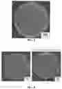 Fig. 03 - Ear-cleansing agent for companion animals and method of manufacturing the same
