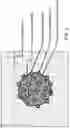 Fig. 02 - NANOEMULSION CONCENTRATE FORMULATIONS AND METHODS