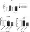 Fig. 07 - Liposomal compounds and methods of use thereof