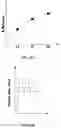 Fig. 11 - 3D printing methods for compartmented pharmaceutical dosage forms