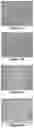 Fig. 05 - APPLICATION OF PHARMACEUTICAL COMPOSITION IN REGULATION OF FIBROBLAST GROWTH