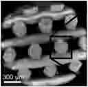 Fig. 01 - THREE-DIMENSIONAL PRINTED STRUCTURAL SILOXANES HAVING CONTROLLED DRUG RELEASE
