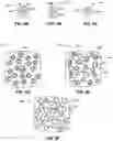 Fig. 10 - THREE-DIMENSIONAL PRINTED STRUCTURAL SILOXANES HAVING CONTROLLED DRUG RELEASE