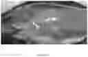 Fig. 09 - Encapsulation Methods and Compositions