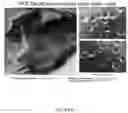 Fig. 16 - Encapsulation Methods and Compositions