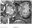 Fig. 33 - Encapsulation Methods and Compositions