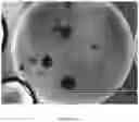 Fig. 34 - Encapsulation Methods and Compositions