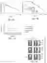 Fig. 02 - COMPOSITIONS AND METHODS FOR NANOPARTICLE-BASED DRUG DELIVERY AND IMAGING
