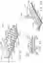 Fig. 30 - Tissue thickness compensator configured to redistribute compressive forces
