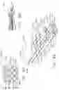 Fig. 40 - Tissue thickness compensator configured to redistribute compressive forces