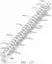 Fig. 60 - Tissue thickness compensator configured to redistribute compressive forces