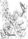 Fig. 95 - Tissue thickness compensator configured to redistribute compressive forces