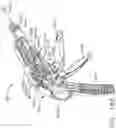 Fig. 99 - Tissue thickness compensator configured to redistribute compressive forces