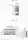 Fig. 02 - COMPOSITION COMPRISING FARNESOL AND USE THEREOF