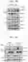 Fig. 20 - COMPOSITION COMPRISING FARNESOL AND USE THEREOF