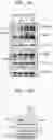 Fig. 23 - COMPOSITION COMPRISING FARNESOL AND USE THEREOF